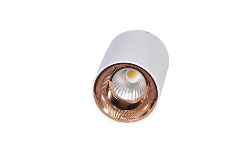 COB Cylinder Light 4