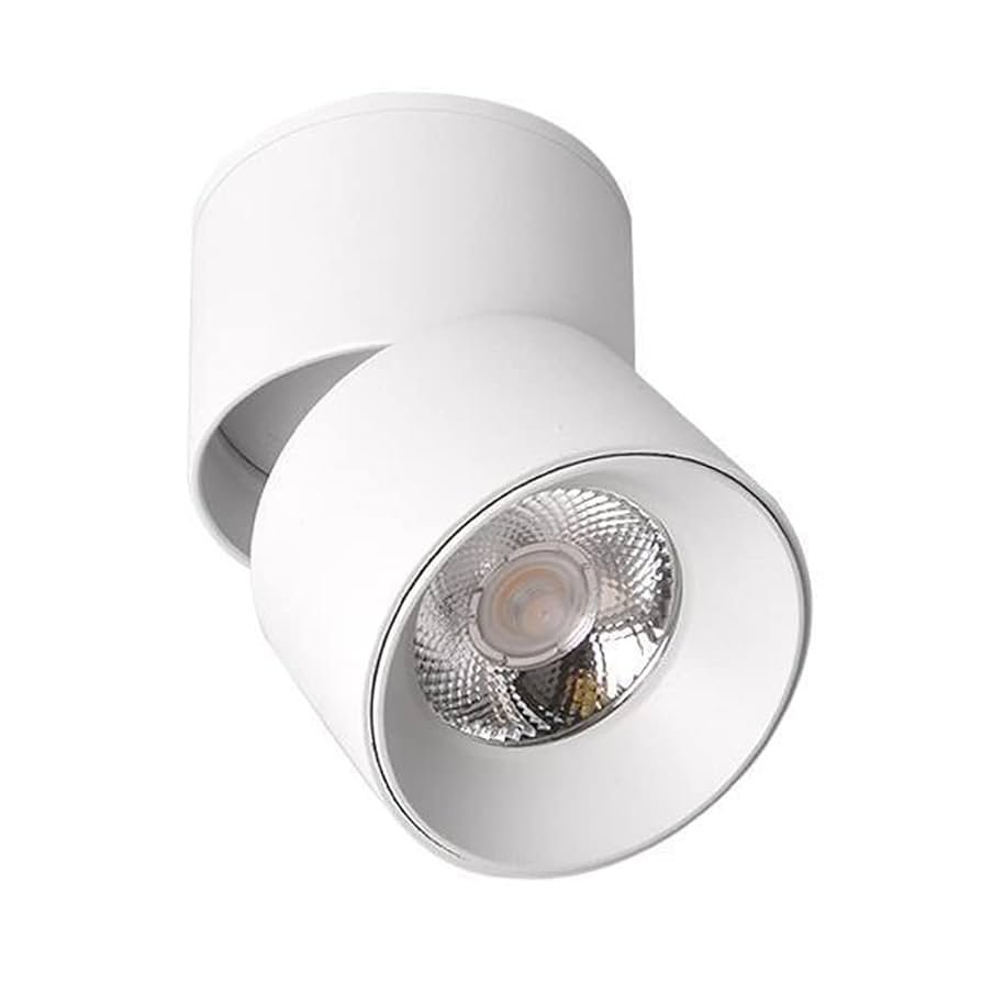 Movable COB Down Light 2