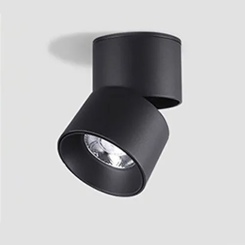 Movable COB Down Light 3